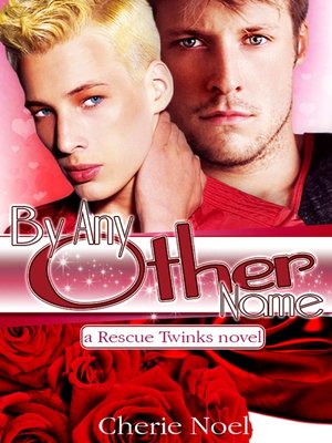 cover image of A Rescue Twinks Novel